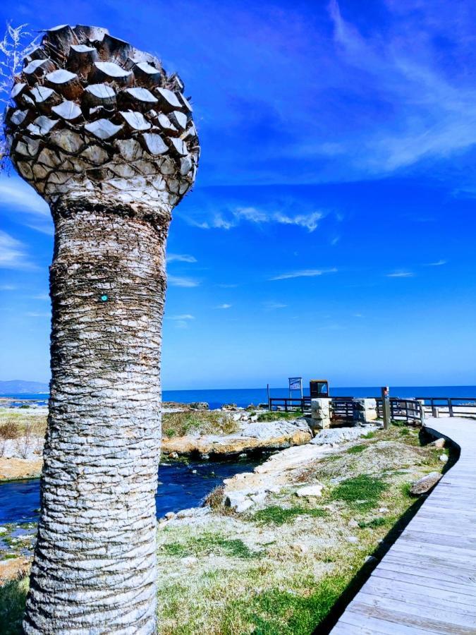 Apartamento Acogedor En Cabanes, Torre La Sal, Costamar I Marina D'Or Venta de San Antonio-Estacion Bagian luar foto